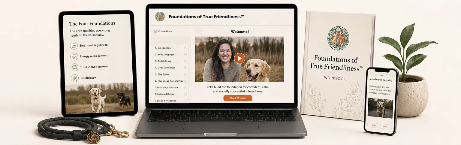 Foundations of True Friendliness course shown on tablet, laptop, and phone alongside the printed workbook