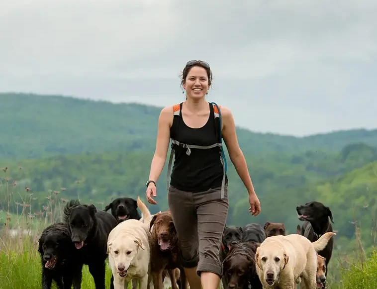 Rhonda Bilodeau leading her pack of dogs through Vermont hills
