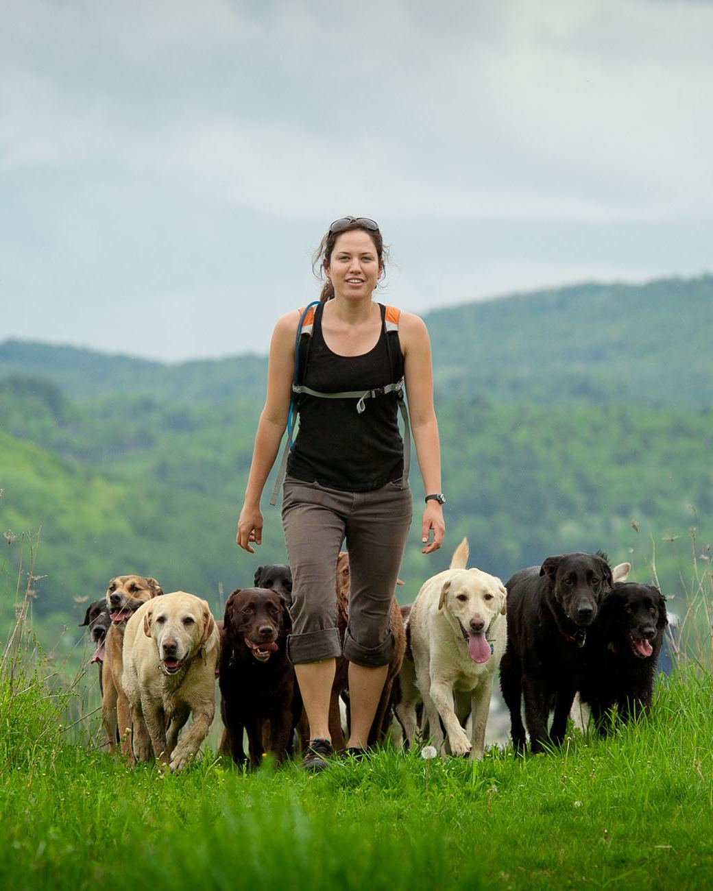 Rhonda Bilodeau pack-walking with eight dogs through a Vermont meadow with mountains behind