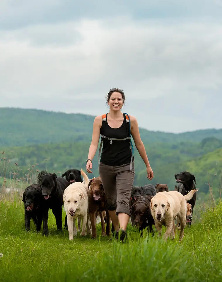 Rhonda walking with the pack on a Vermont hilltop